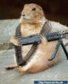 /album/zvieratka/images-phpjk-jpg/